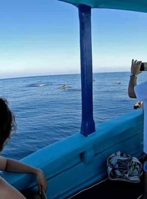 Boating in Drake Bay, Costa Rica