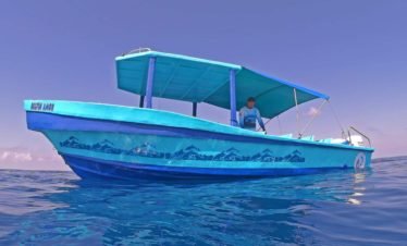 Delfin Amor, the Divine Dolphin Tour Boat in Drake Bay, Costa Rica