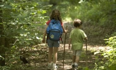 Child Friendly Tour in Drake Bay, Costa Rica
