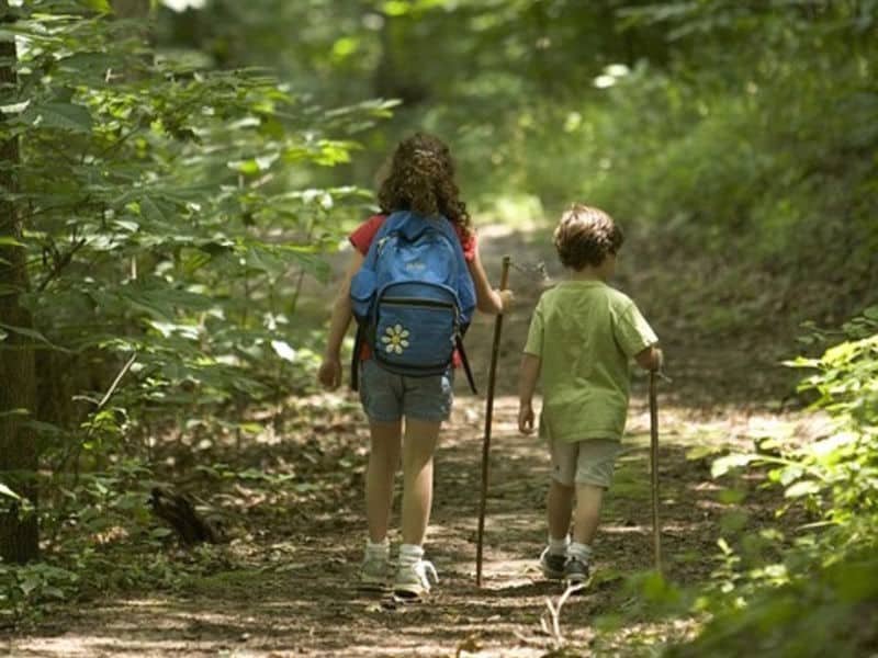 Child Friendly Tour in Drake Bay, Costa Rica