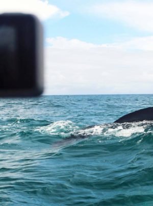 Nature Photography - Drake Bay, Costa Rica