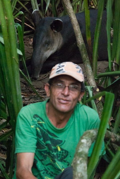 A tapir rests behind our guide in Corcovado National Park