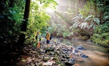 Corcovado National Park - Sirena Station