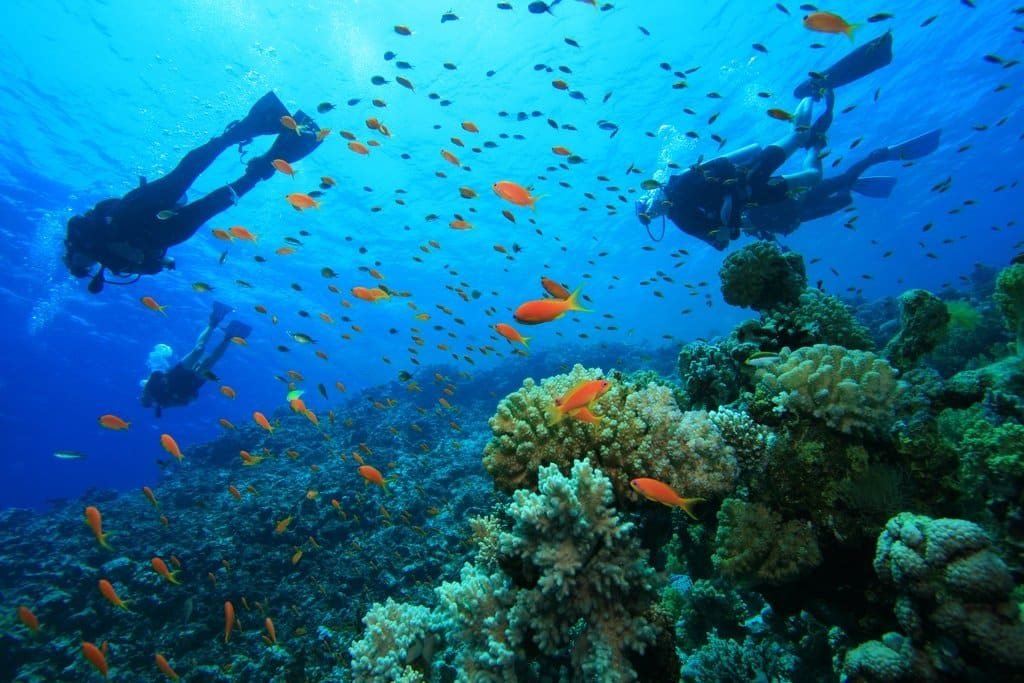 SCUBA Diving in Drake Bay, Costa Rica