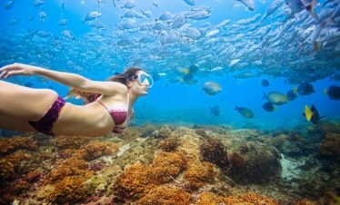 Snorkeling at Caño Island