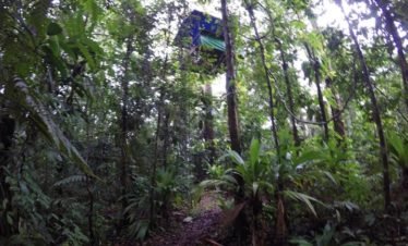Drake Bay, Costa Rica Rainforest Platform