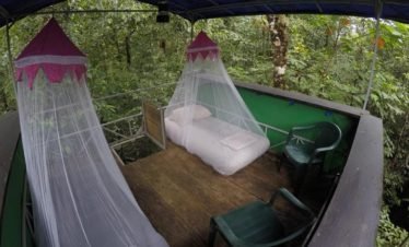 Drake Bay, Costa Rica Rainforest Platform