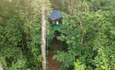 Drake Bay, Costa Rica Rainforest Platform
