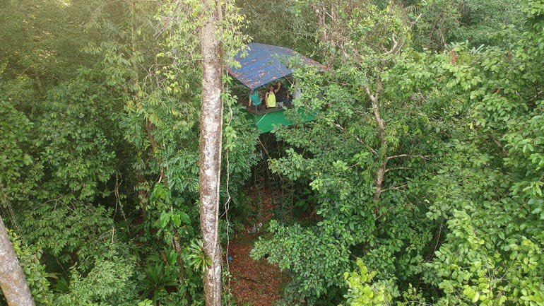 Drake Bay, Costa Rica Rainforest Platform