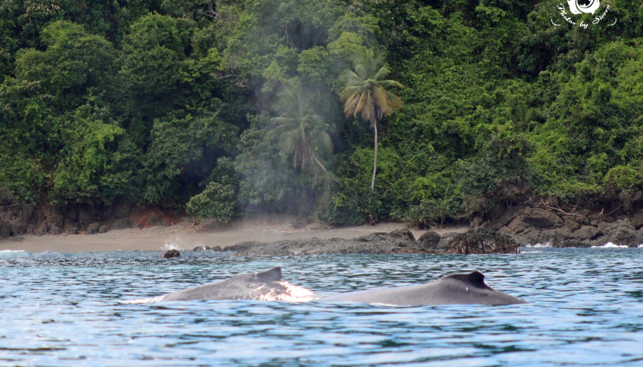 Costa Rica Named Most Beautiful Country