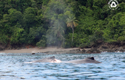 Costa Rica Named Most Beautiful Country