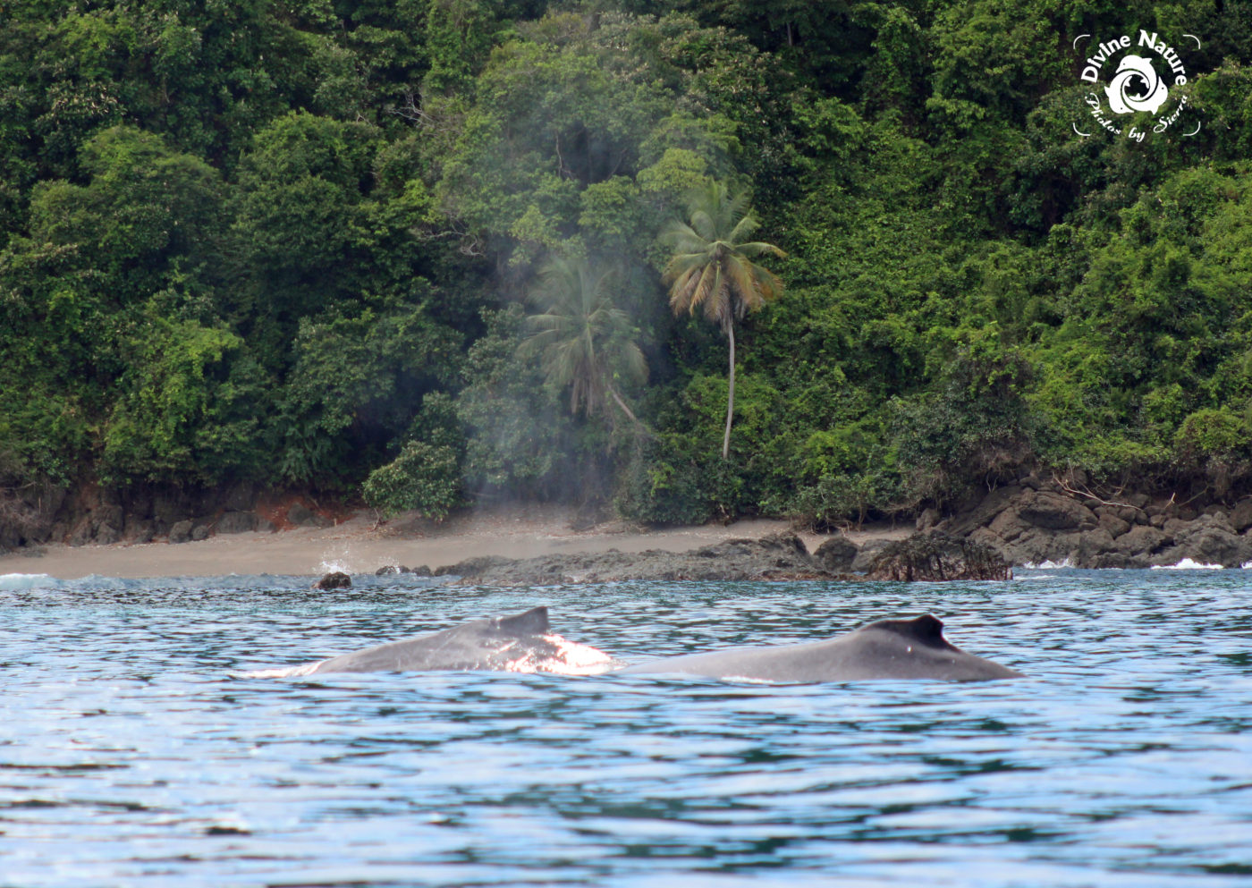 Costa Rica Named Most Beautiful Country